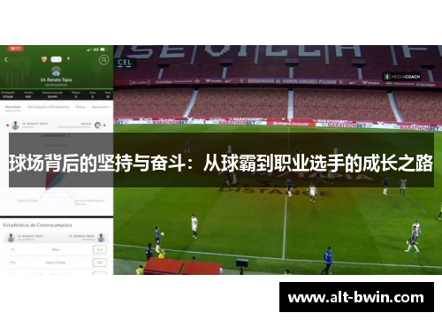 球场背后的坚持与奋斗：从球霸到职业选手的成长之路