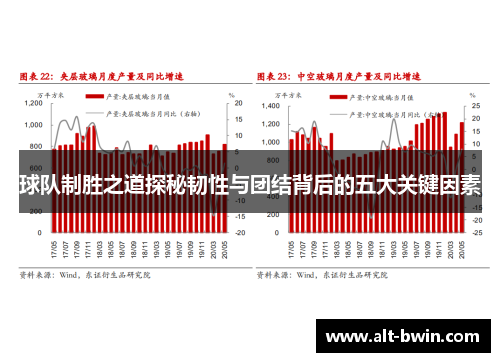 球队制胜之道探秘韧性与团结背后的五大关键因素
